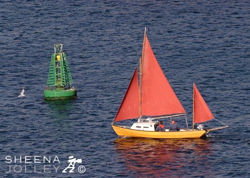An Dobhar.jpg - An Dobhar-Cu 11, Baltimore Wooden Boat Festival, Baltimore, west Cork. This is an annual event.